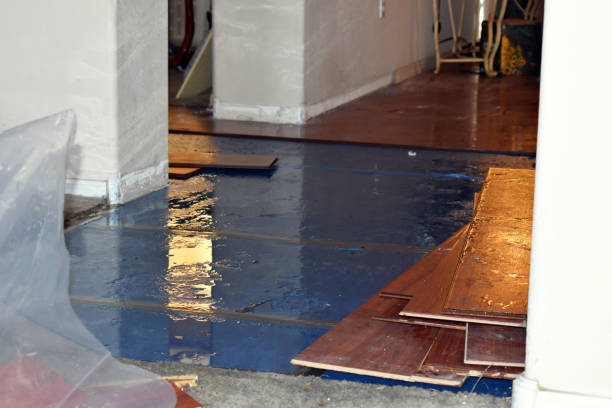 Professional Basement Flood Cleanup technician working in Jefferson, MD